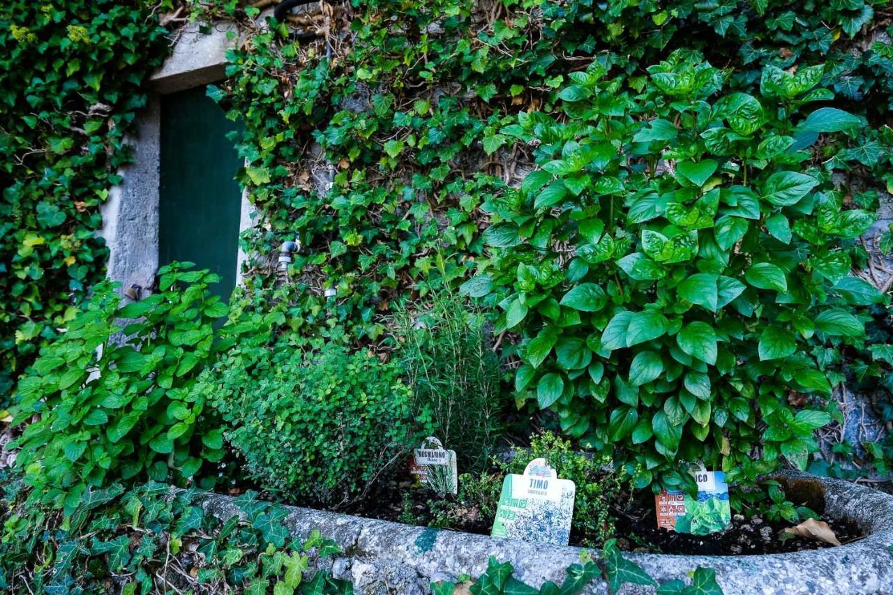 Villa Gina Varenna Extérieur photo